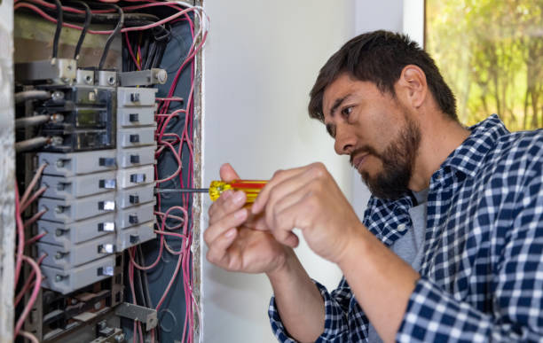 Best Ceiling Fan Installation Electrician  in Robinson, IL